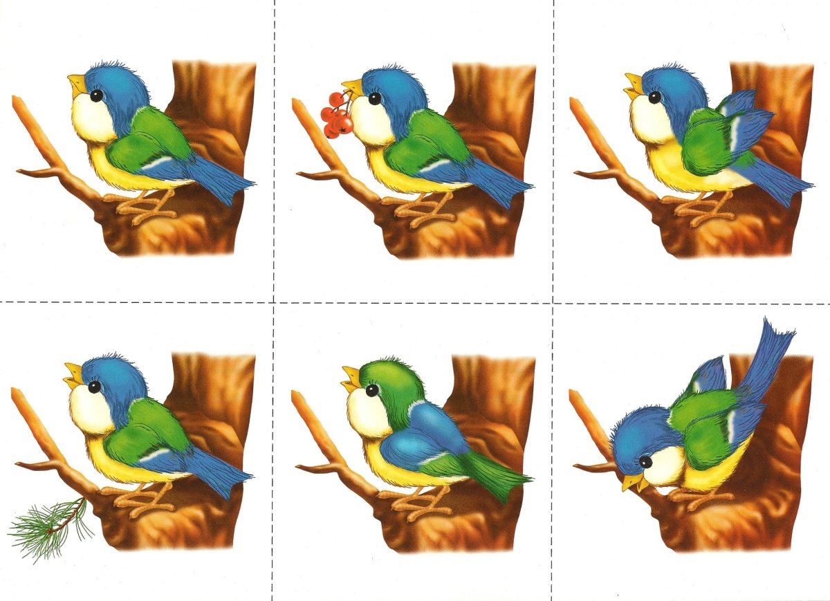 Найди отличия птицы для дошкольников