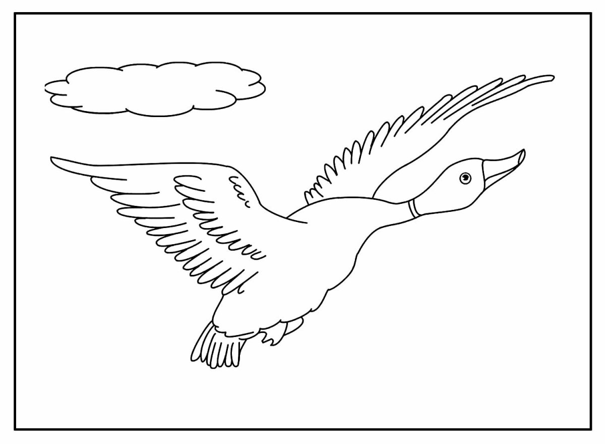 Перелетные птицы трафареты для детей