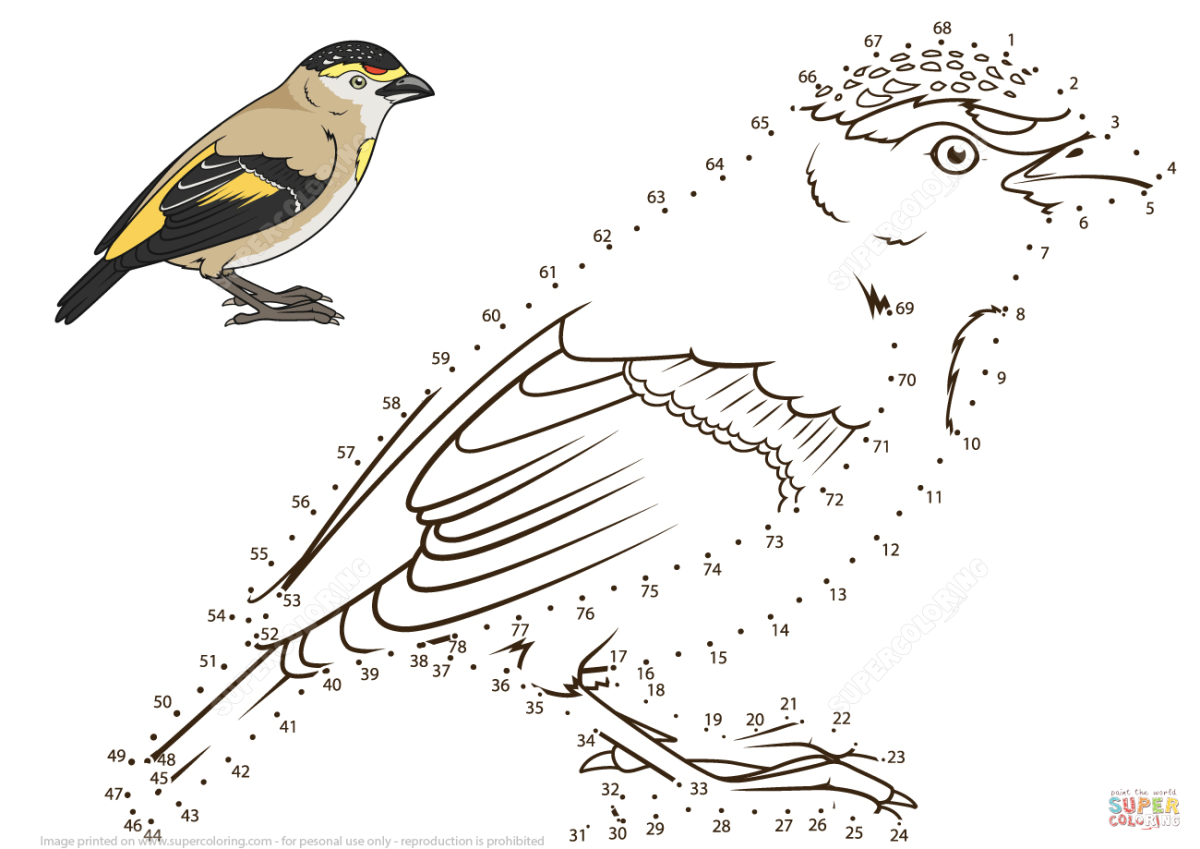 Соедини по точкам зимующие птицы