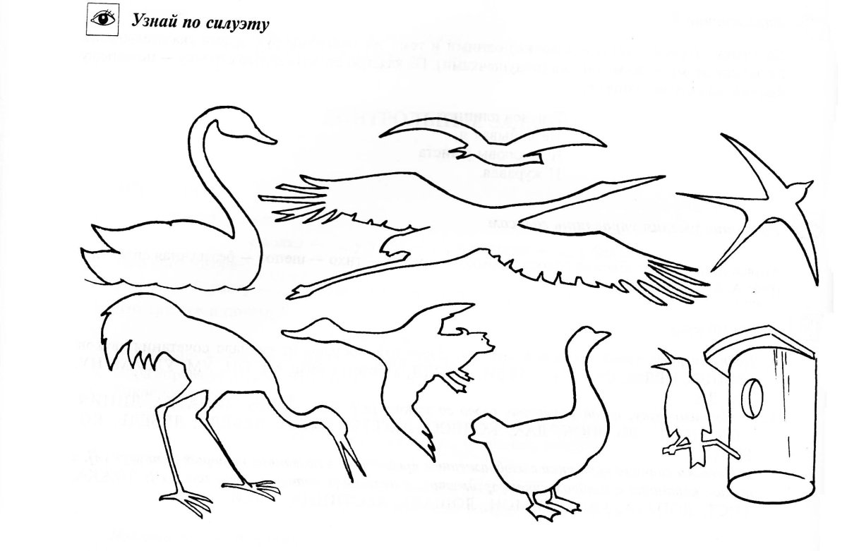 Перелетные птицы задания логопеда