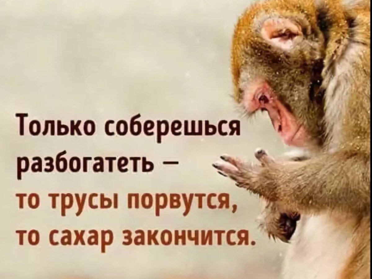 Прикольные шутки для поднятия настроения