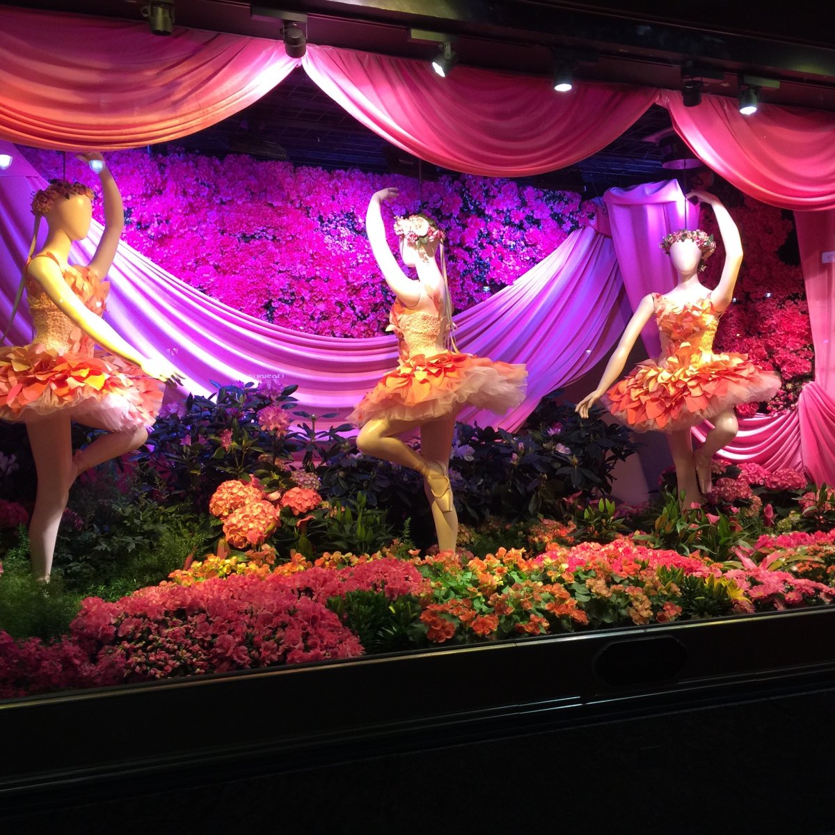 Цветочная сцена