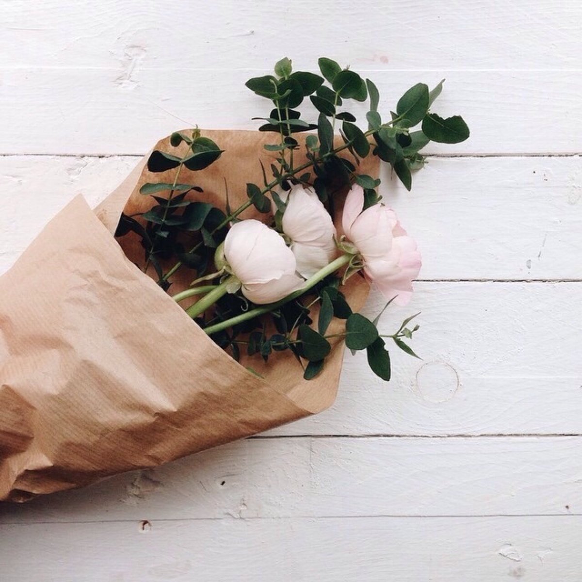 Коричневая Эстетика с цветами