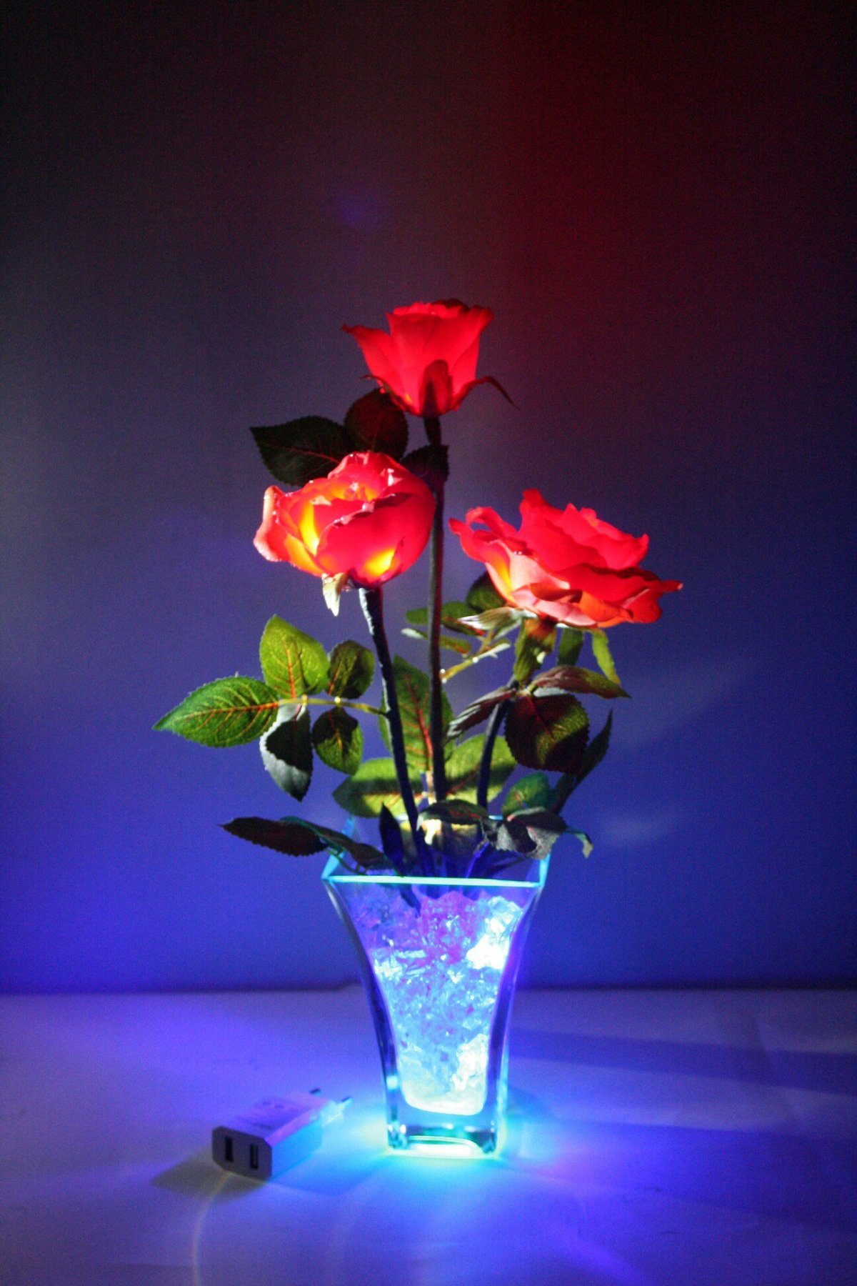 Цветы в темноте