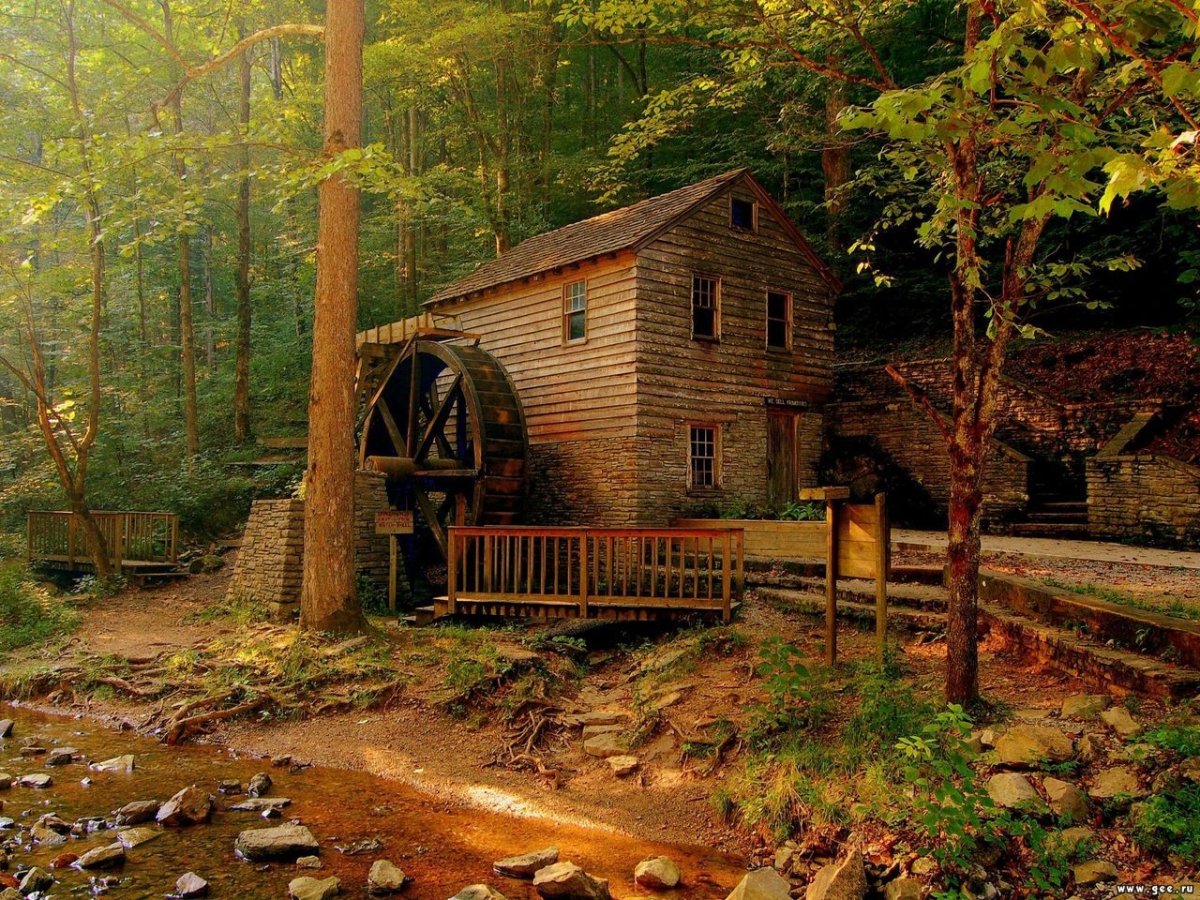 Goblincore домик в лесу