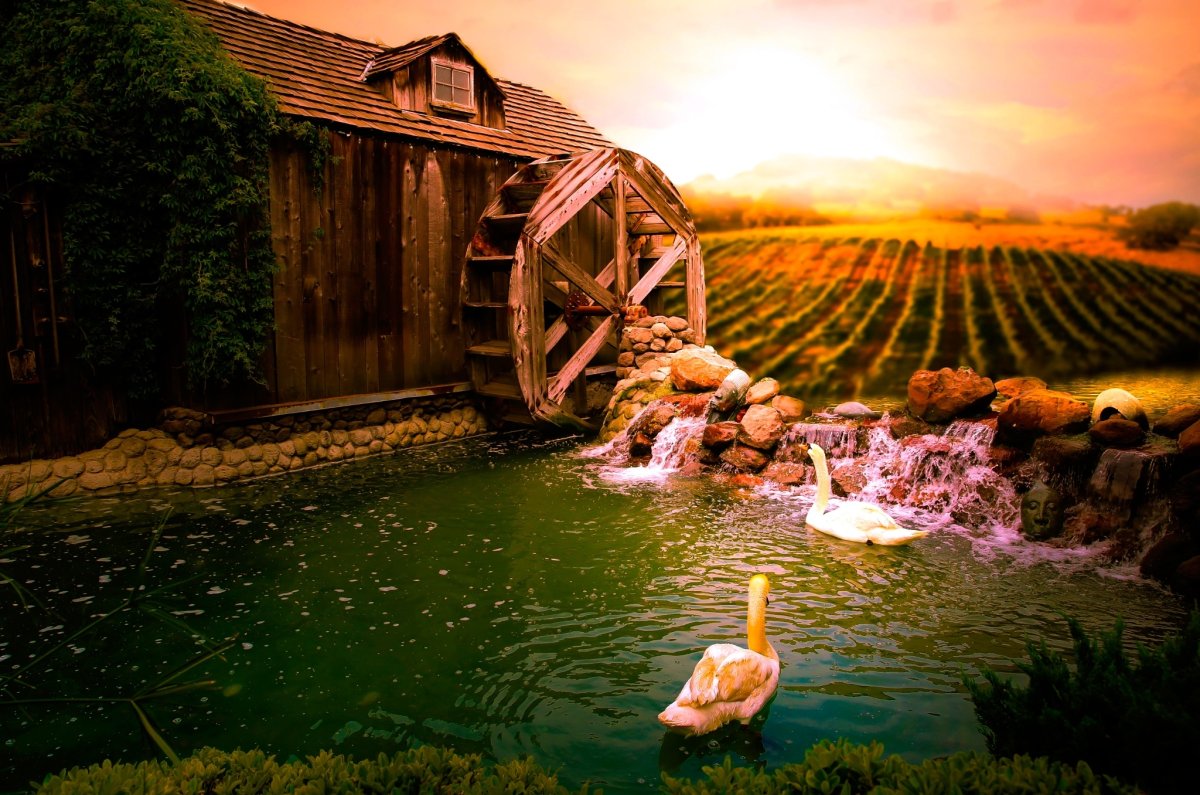 Красивые водяные мельницы