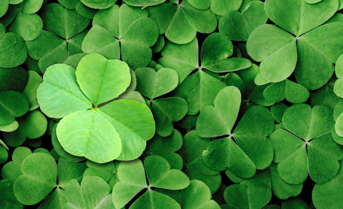 Четырехлистный Клевер с подковой