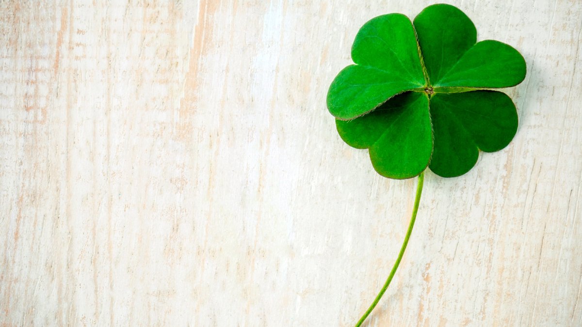 Фон Клевер четырехлистный