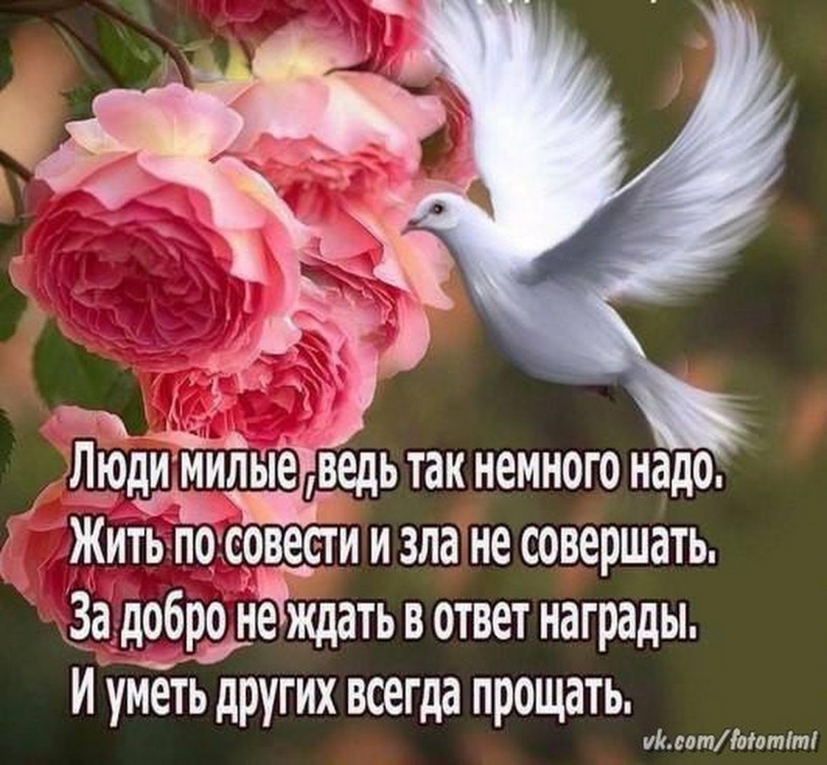 Благословенной ночи