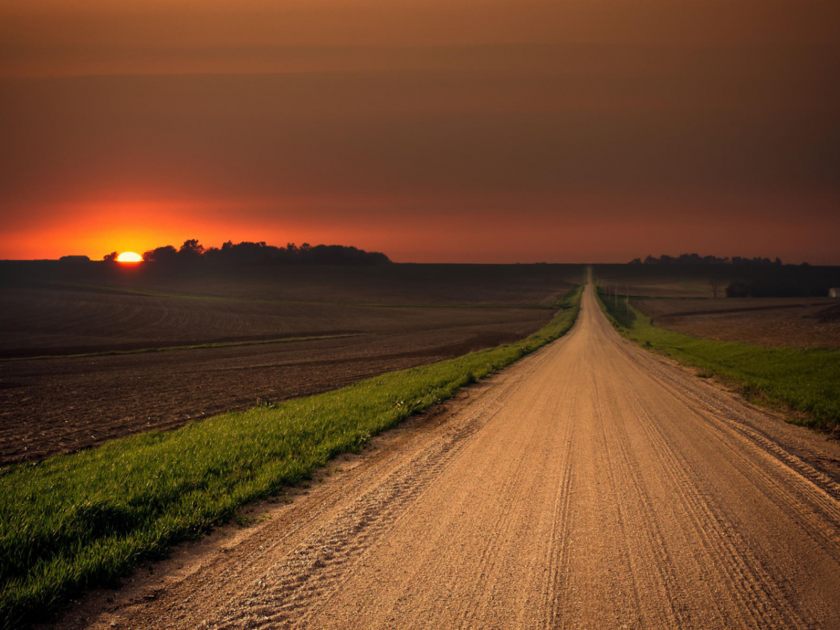 Дорога в поле