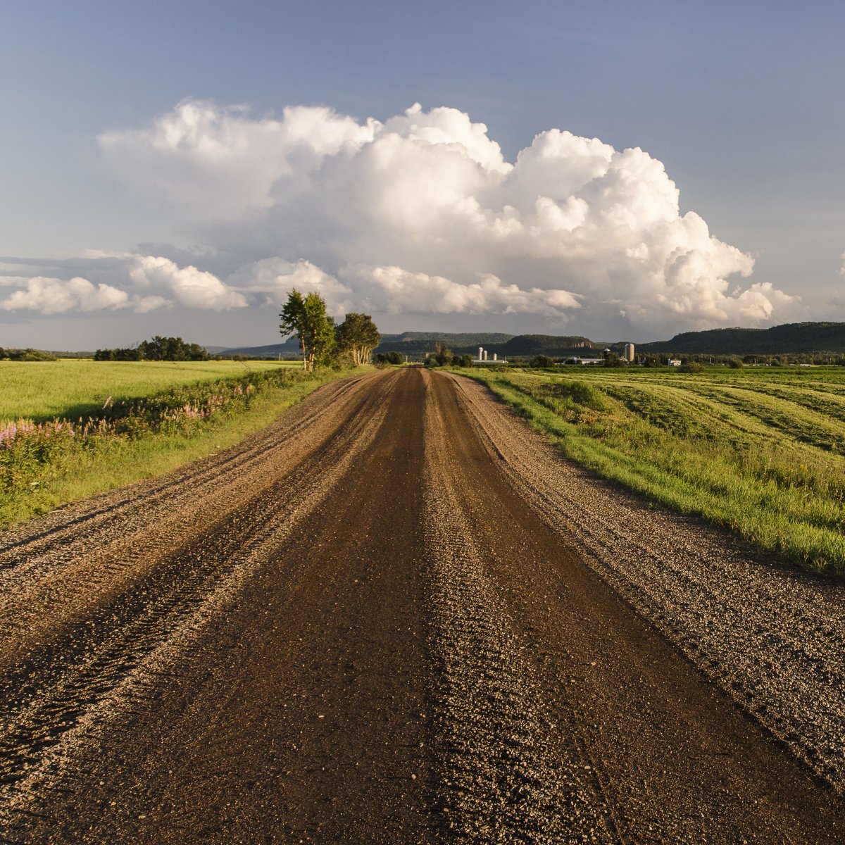 Грунтовая дорога в поле