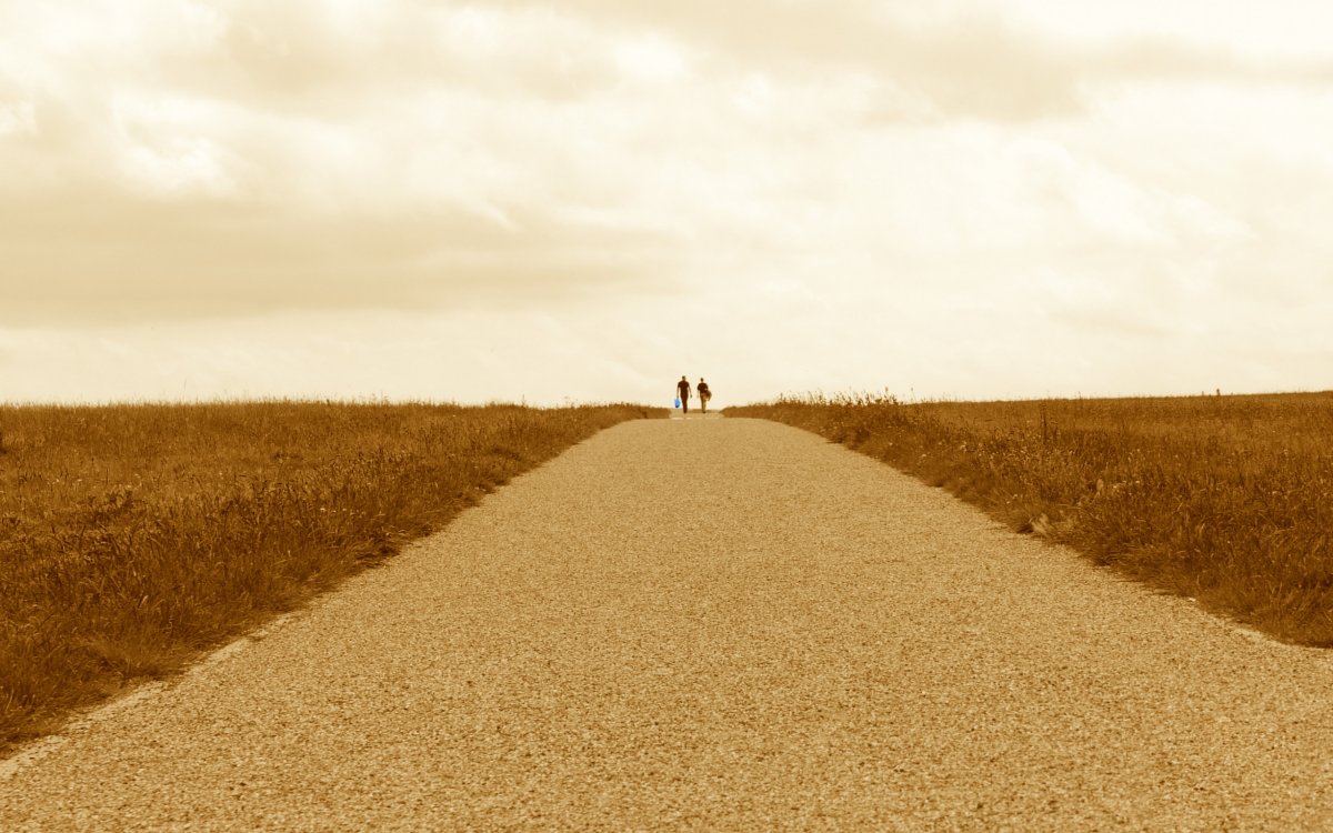 Грунтовая дорога в поле