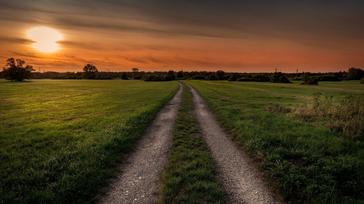 Поле с дорогой