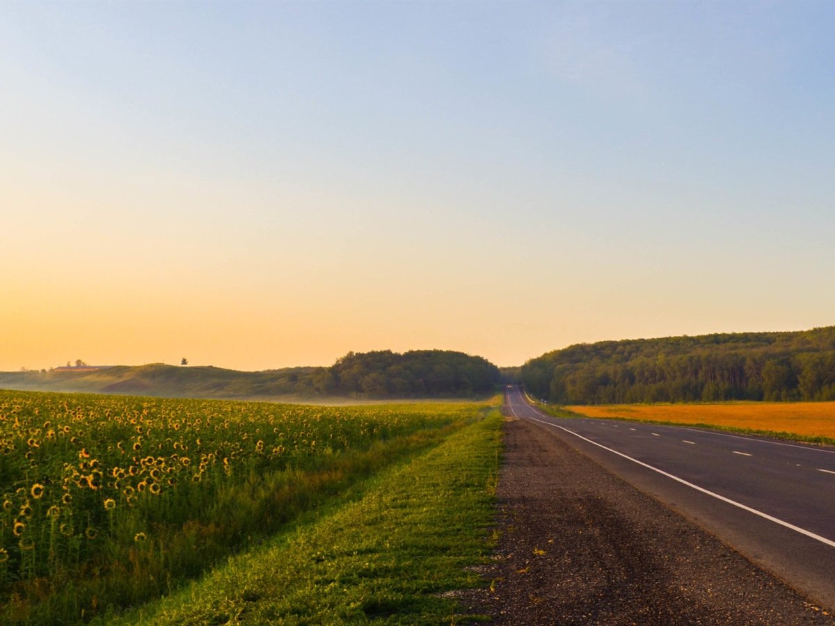 Дорога на рассвет