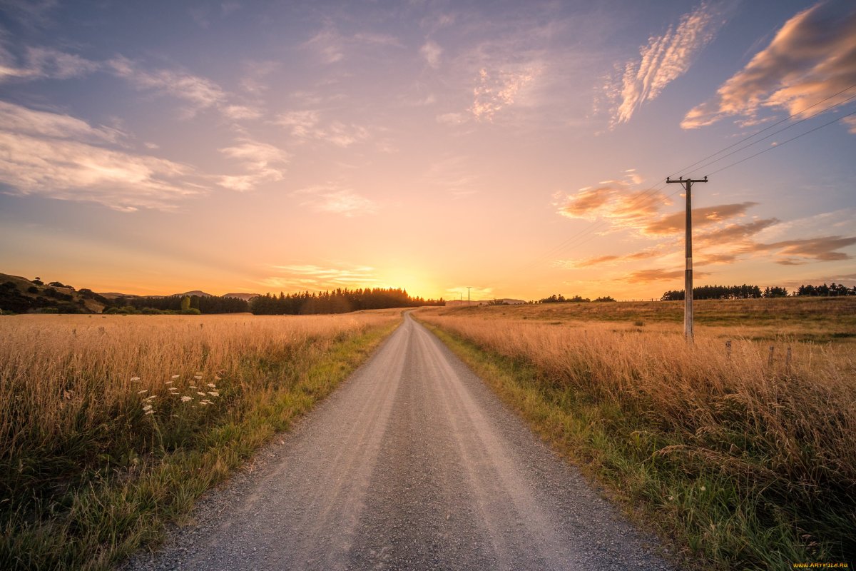 Дорога в поле