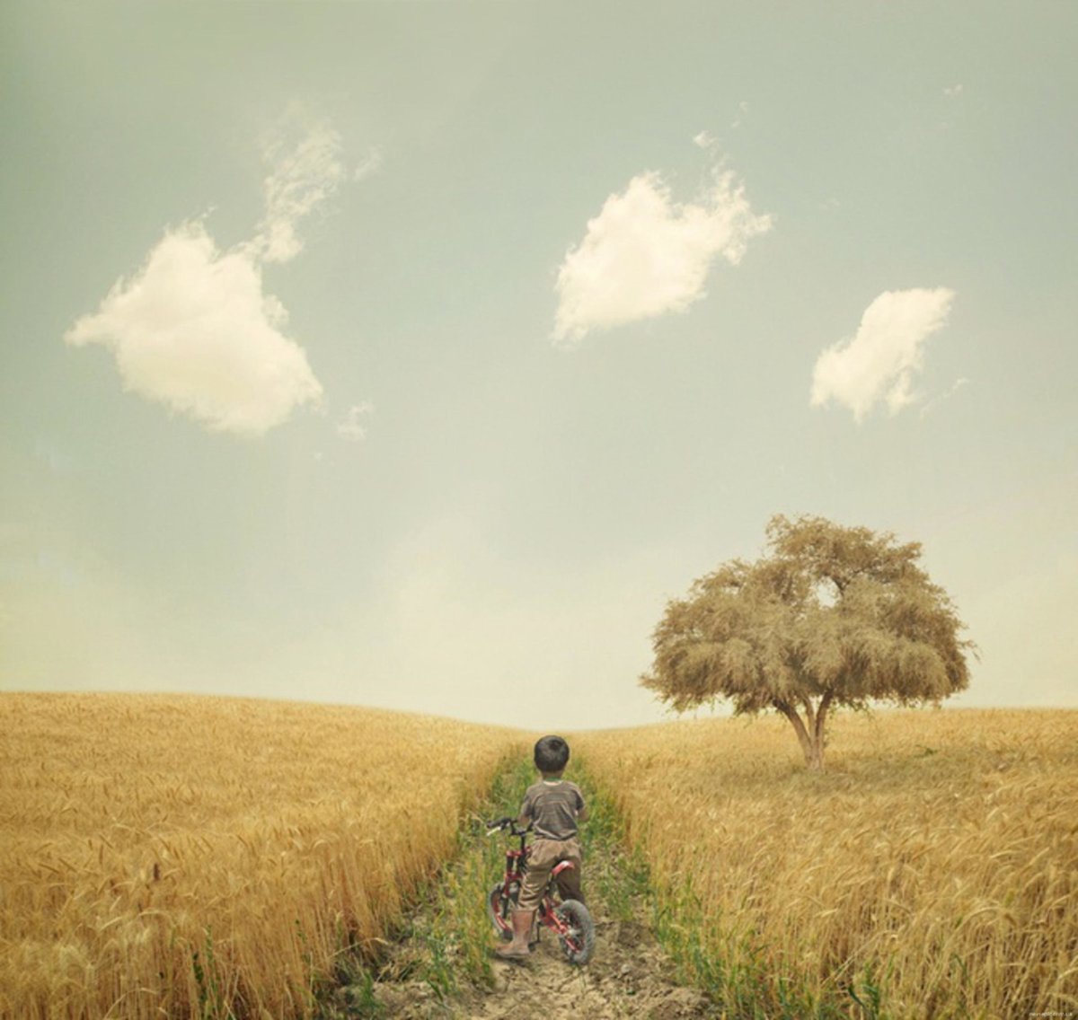 Уходящий в поле