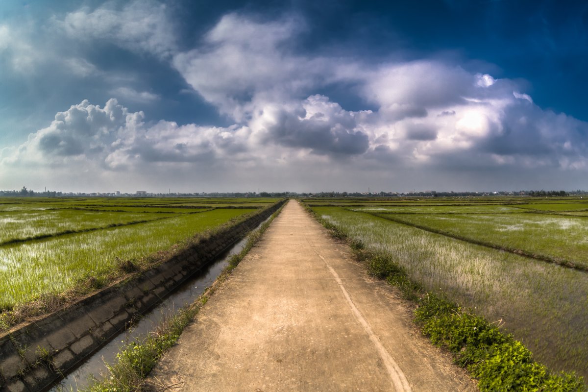 Сельская дорога