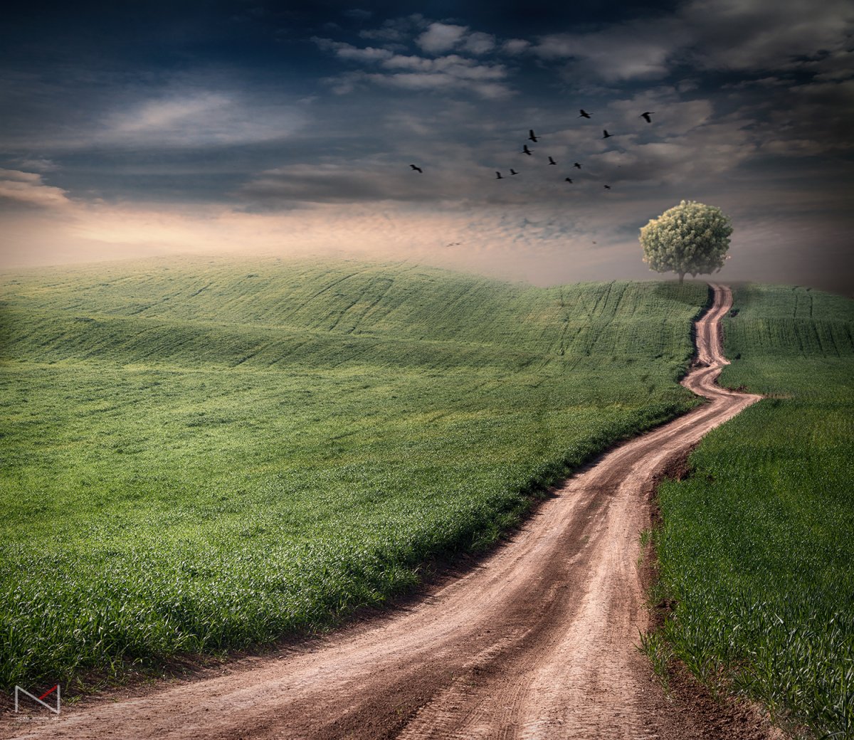 Мысли о природе