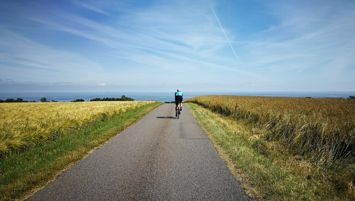 Дорога в поле с велосипедистом фото