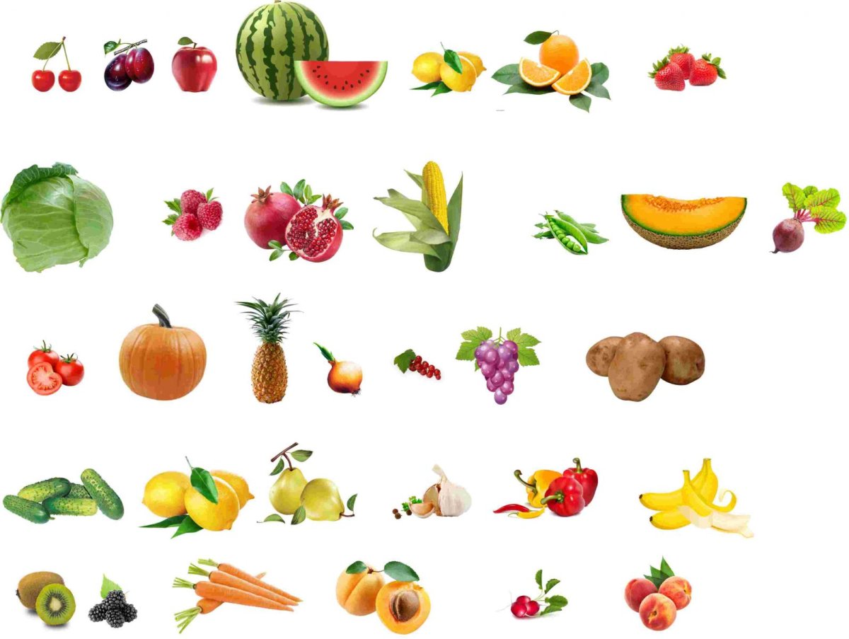 Дидактический материал фрукты и овощи