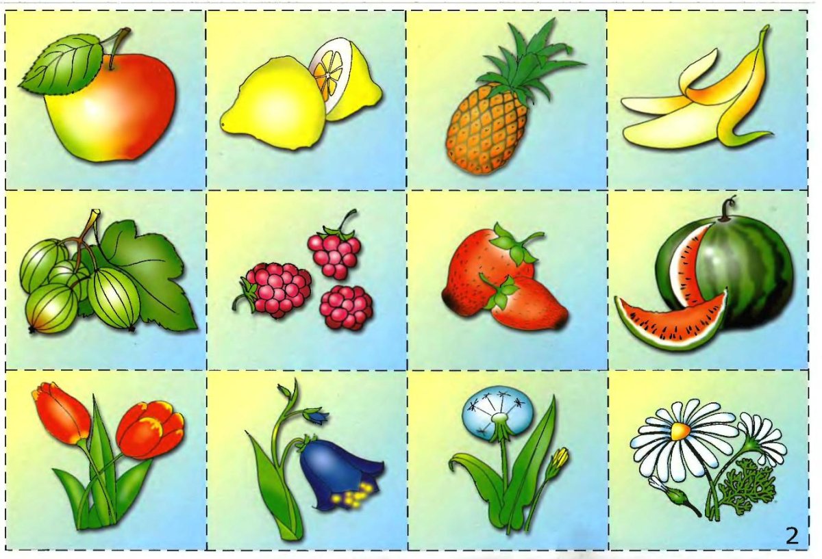 Классификация предметов овощи