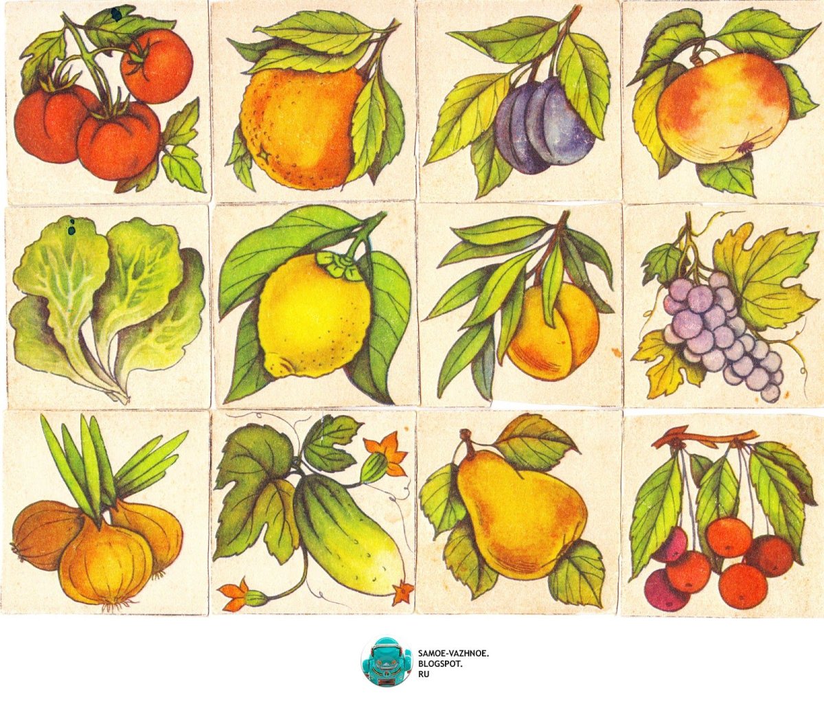 Лото «в мире растений»