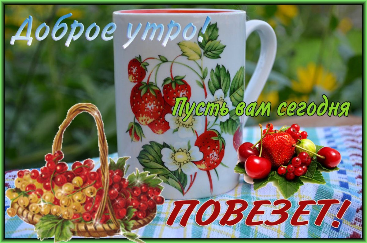 Доброе ноябрьское утро и хорошего дня