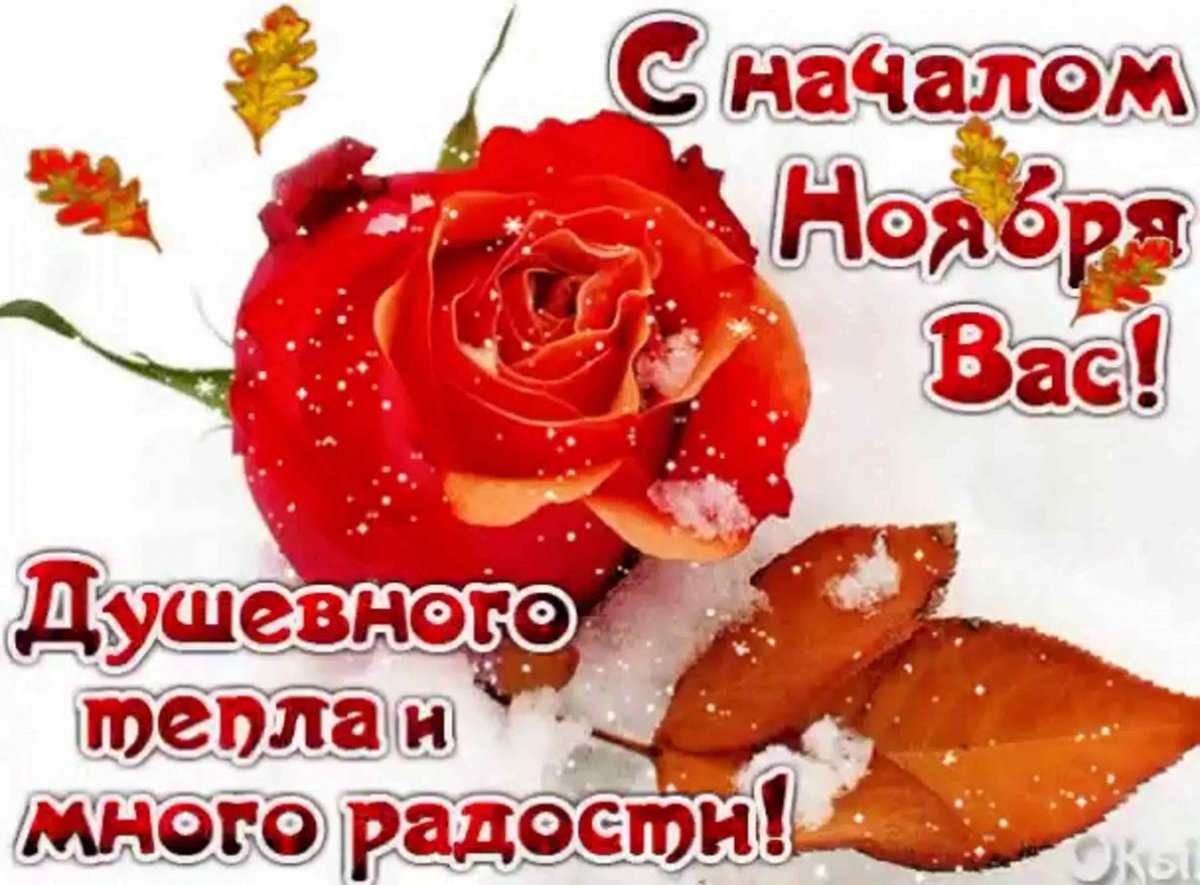 Поздравление с началом ноября