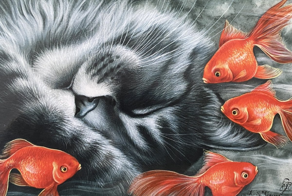 Ирина Гармашова цветные сны