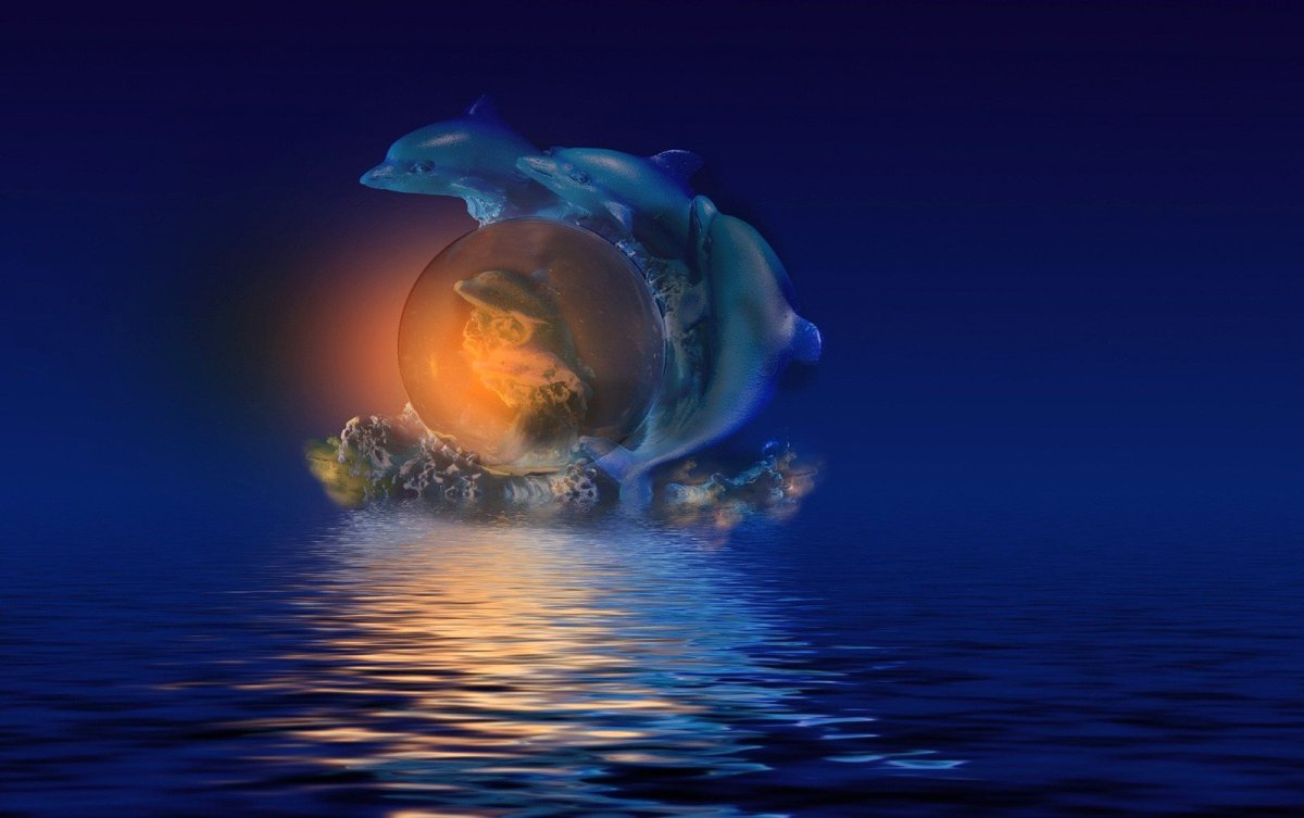 Луна дельфины