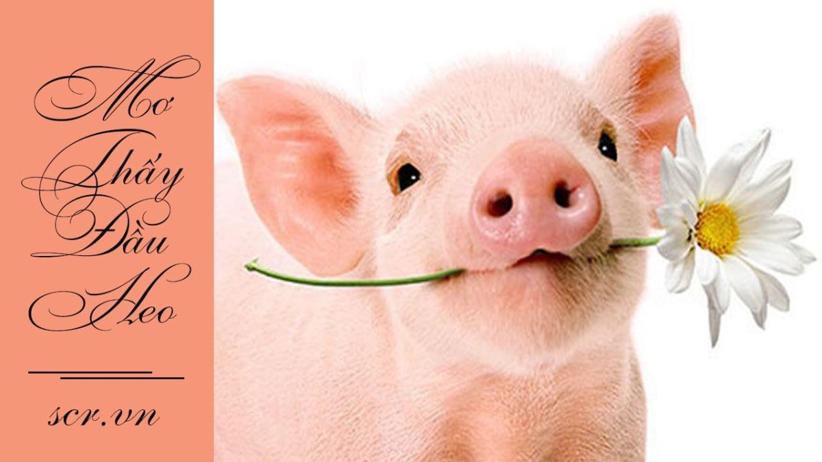 Поросенок с цветком