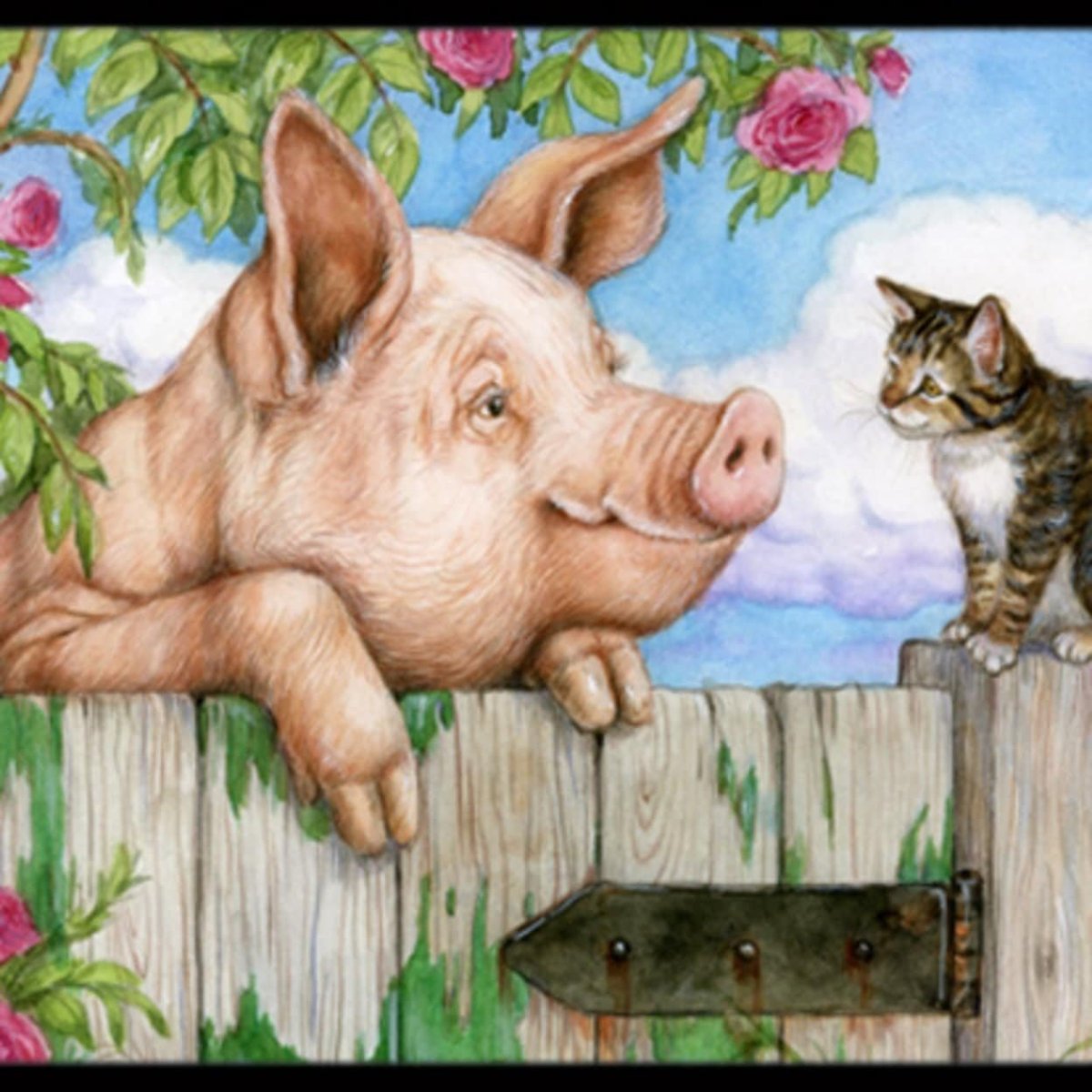 Кошка и поросенок