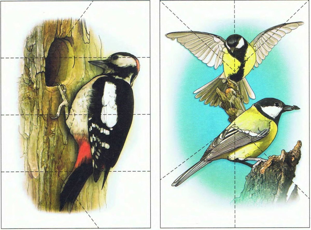 Разрезные пазлы для детей зимующие птицы