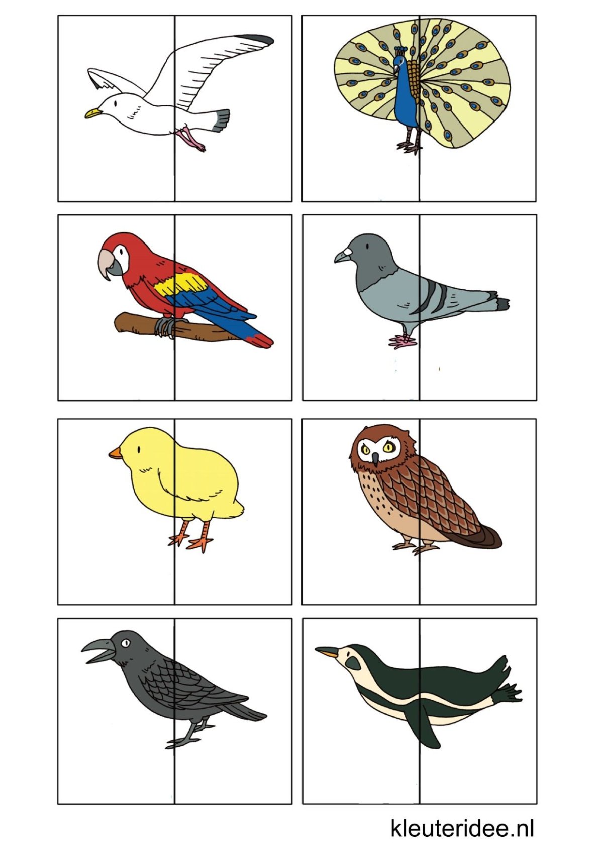 Птицы задания для детей