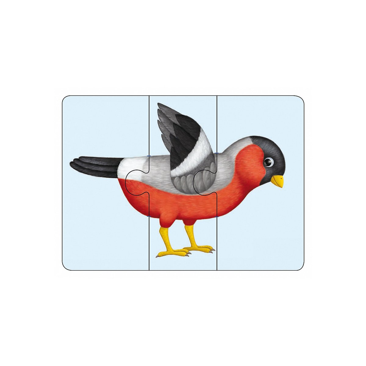 Сложи картинку птицы