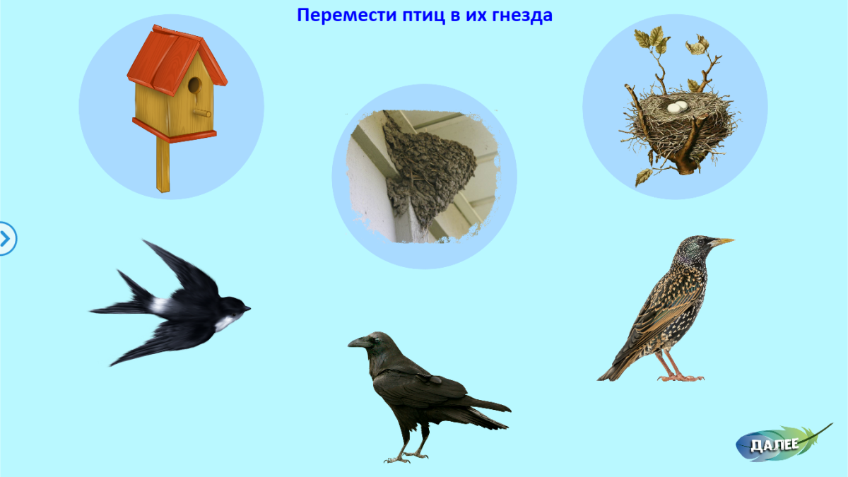 Игра «расставь птиц» (Грач, скворец, Жаворонок).