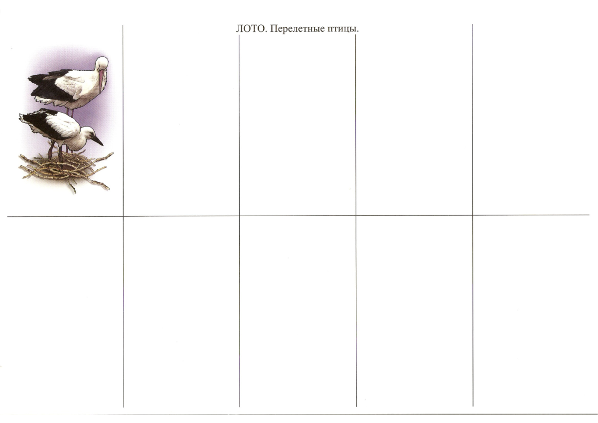 Лото перелетные птицы для дошкольников