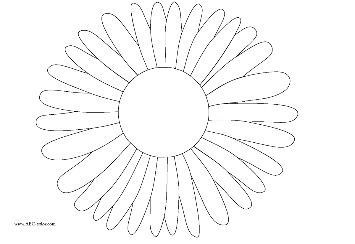 Ромашка 12 лепестков