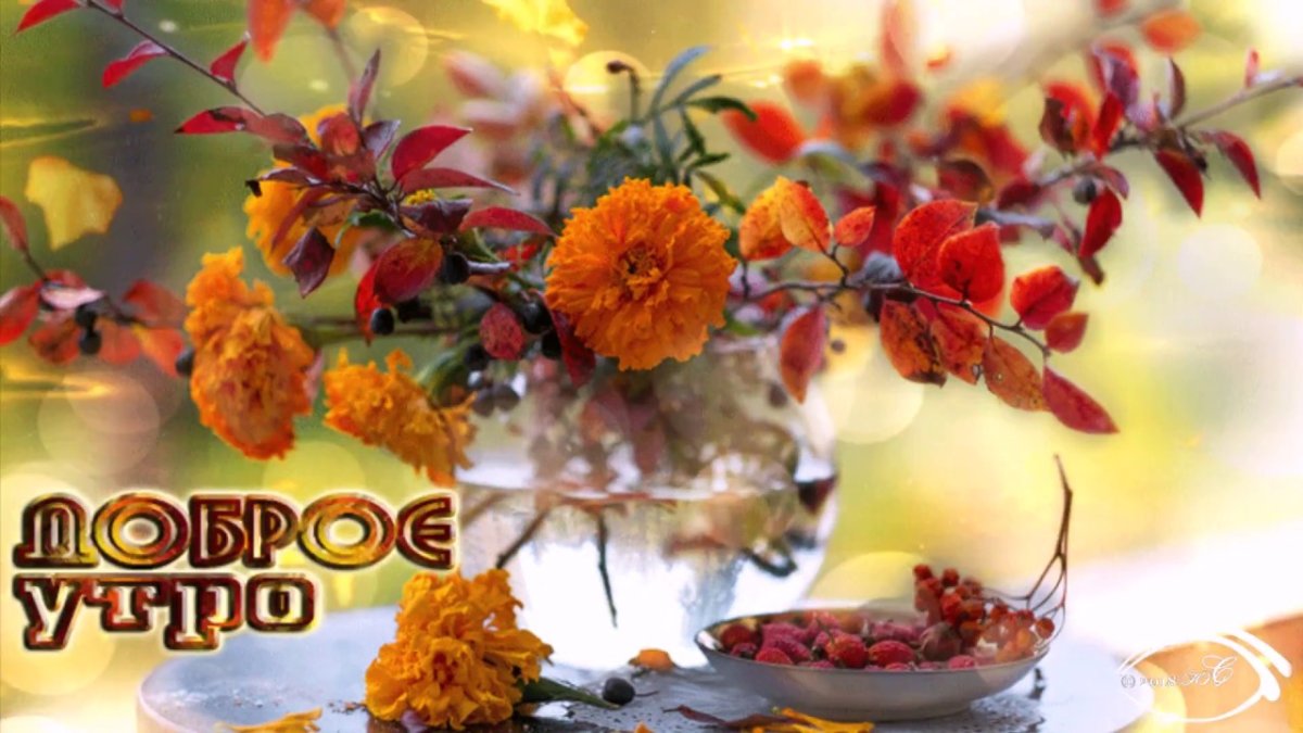 С добрым утром осенним с пожеланиями