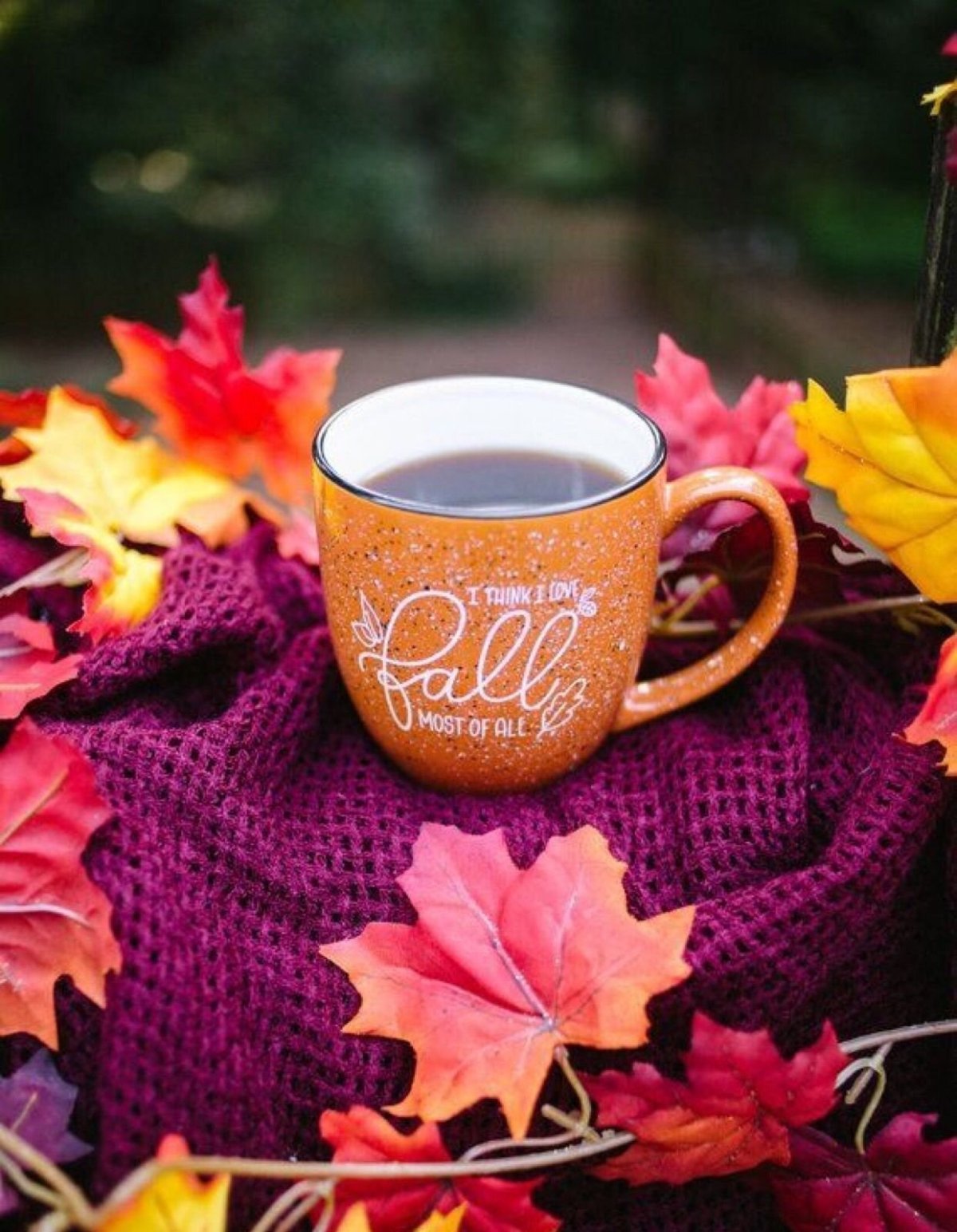 С добрым осенним утром