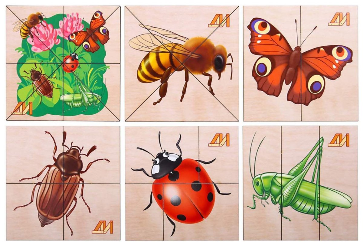 Игра лото насекомые