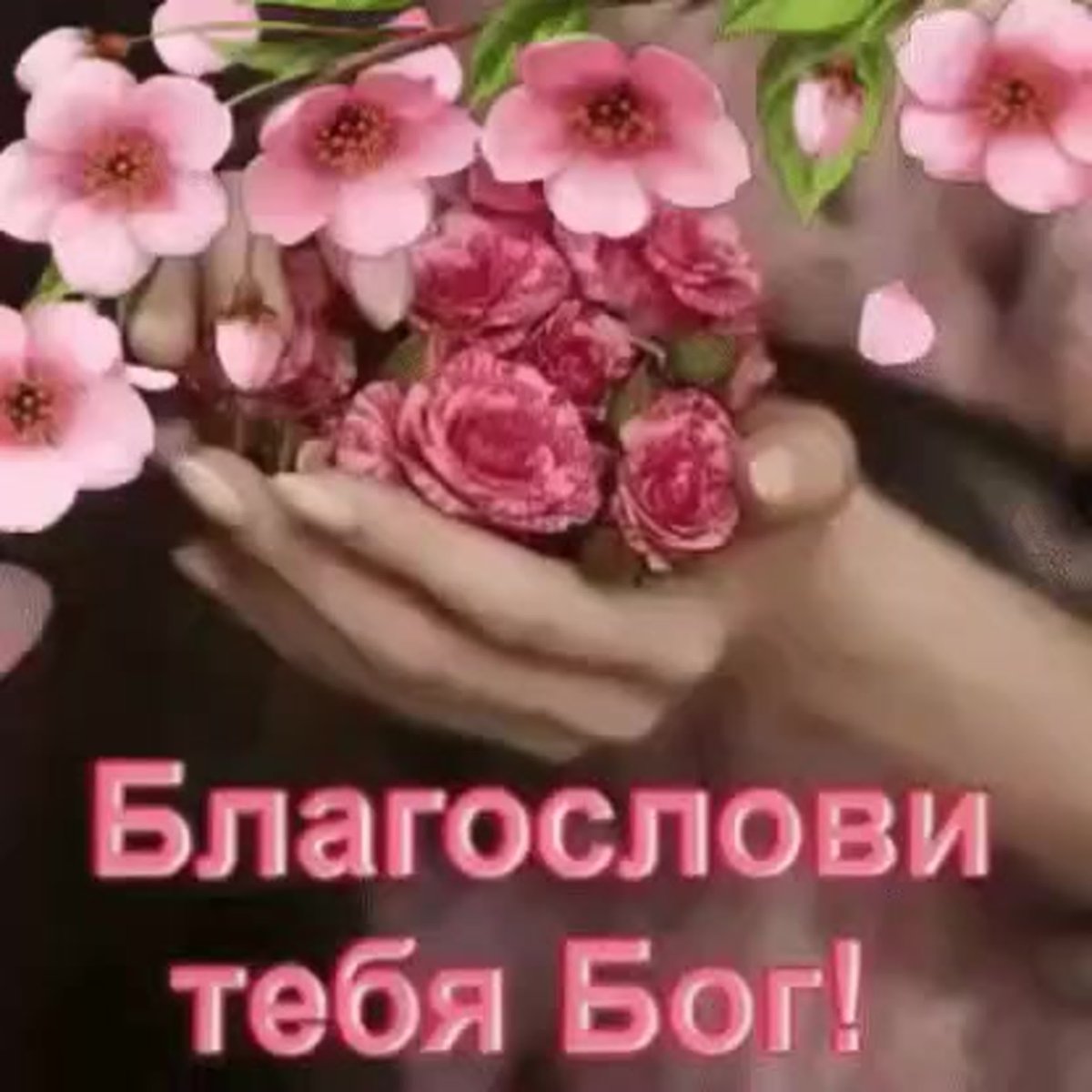 Пусть Бог благословит тебя