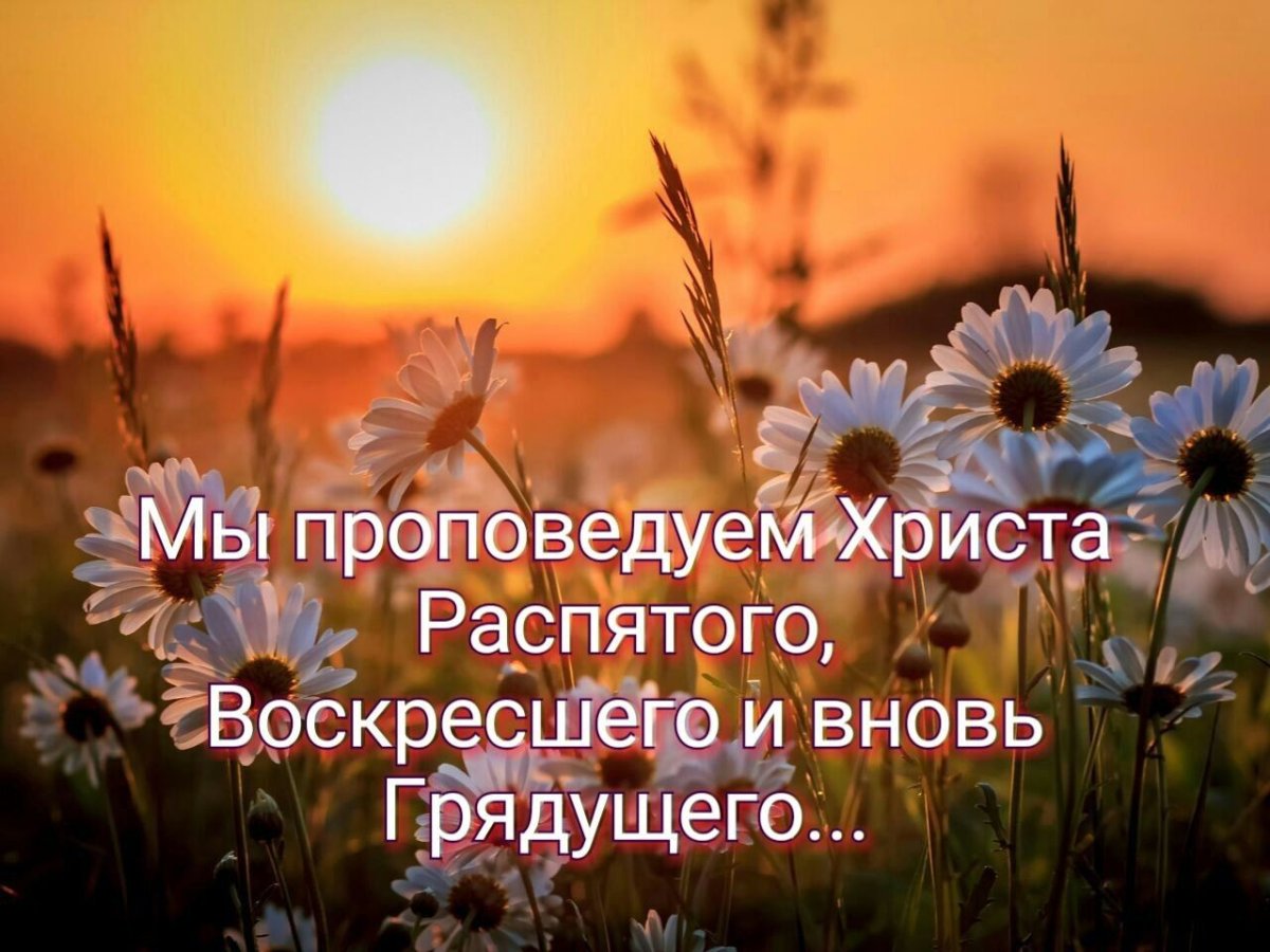 Пусть в ваши души льётся Божий свет и зло любое сердца не коснётся