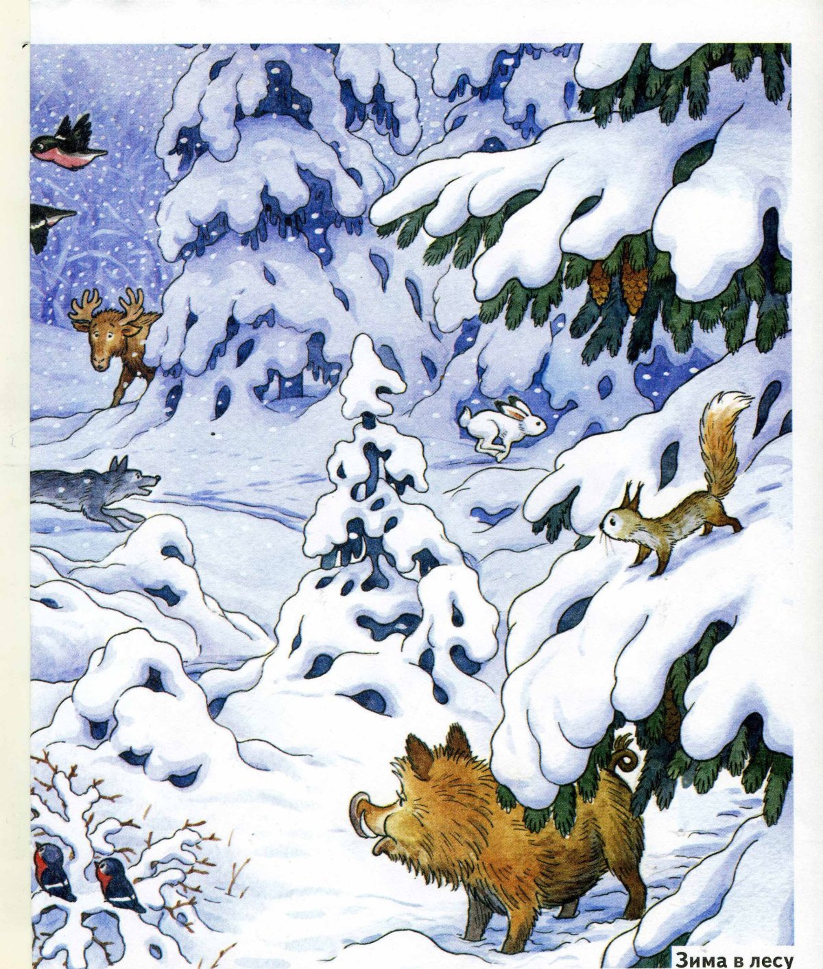 Зимний лес для дошкольников