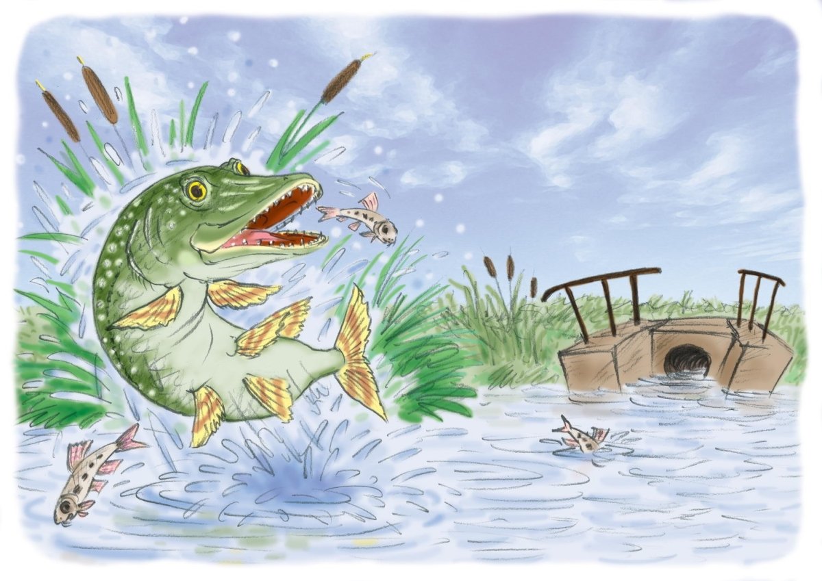 Щука из сказки