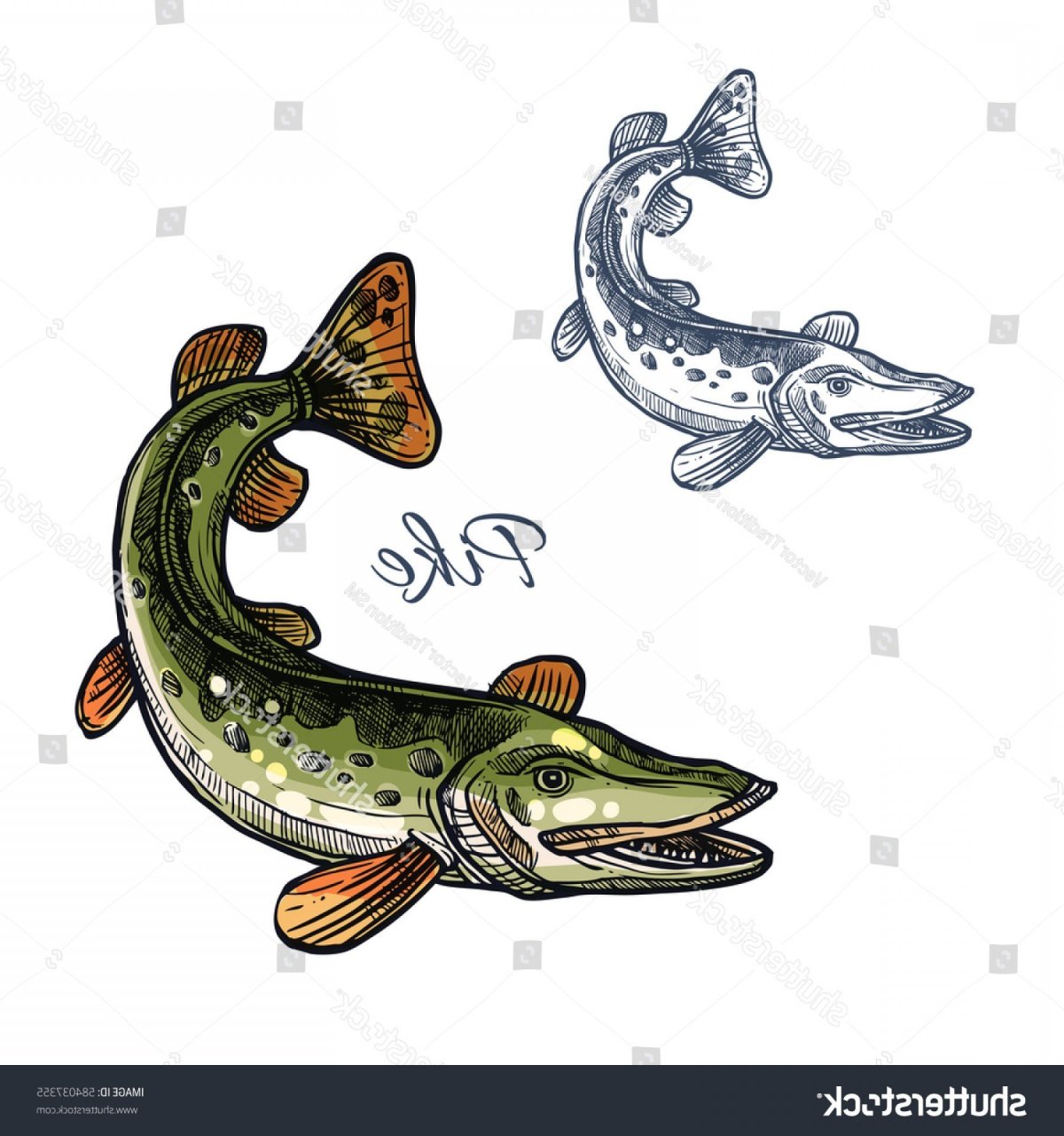 Щука мультяшный