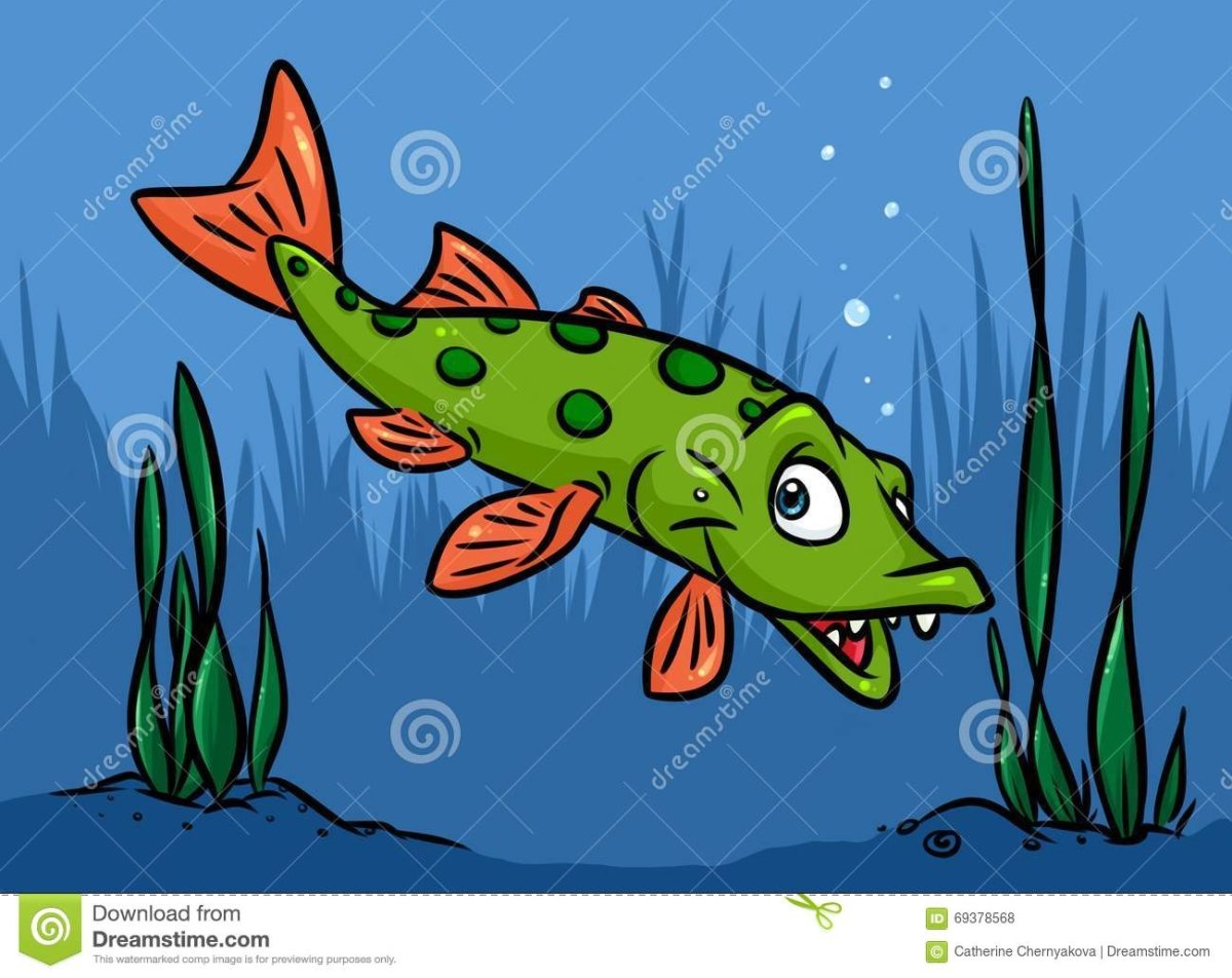 Щука для детей