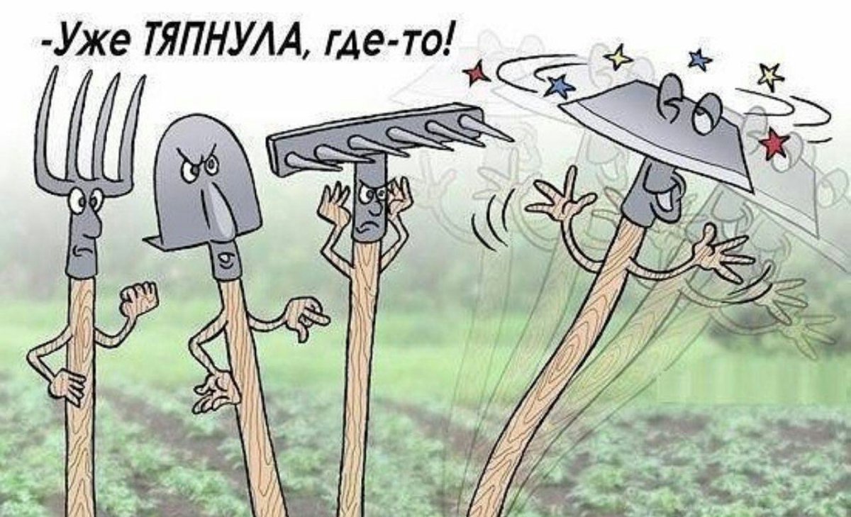 Шутки про огород