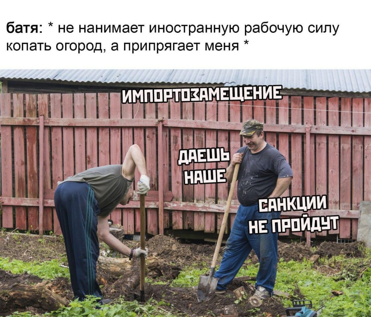 Копала огород прикольные