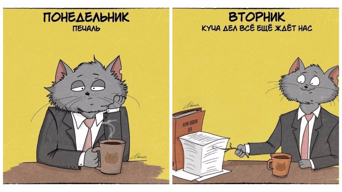 Вторник картинки прикольные